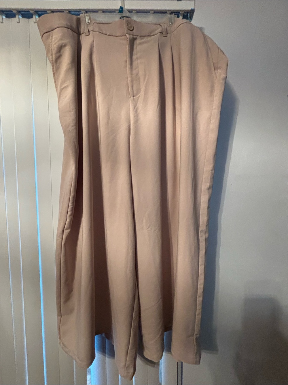 Torrid Wide-Leg Pleated Pants